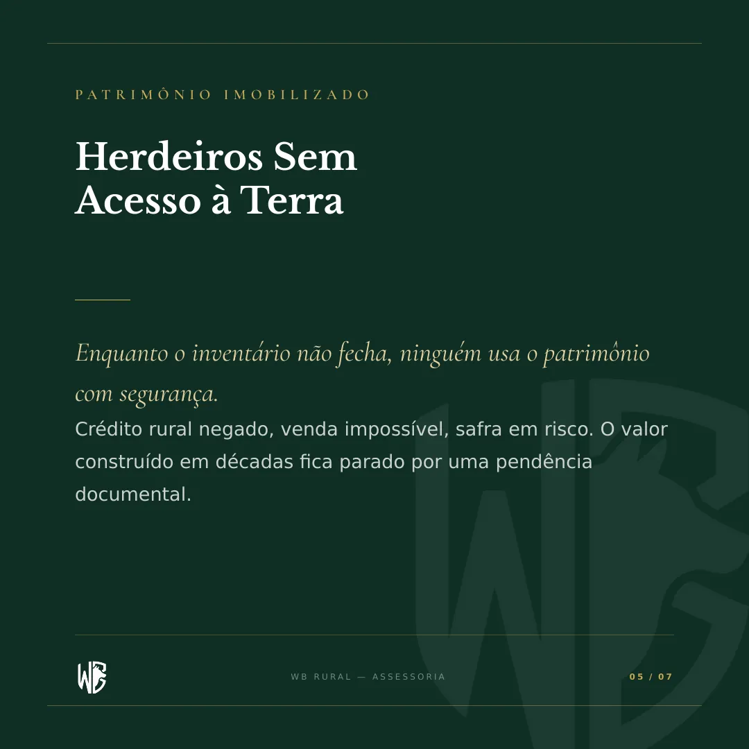 Vai Deixar a Fazenda de Herança? — slide 5