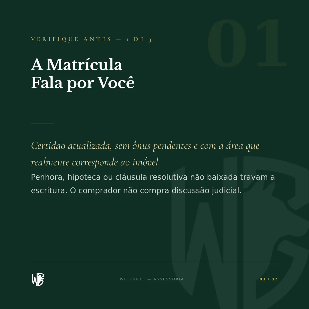 Vai Vender Sua Fazenda? O Comprador Verifica Isto. — slide 3