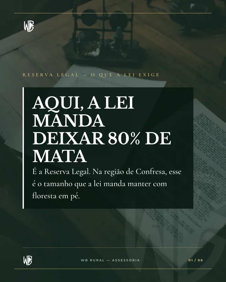 AQUI, A LEI MANDA DEIXAR 80% DE MATA
