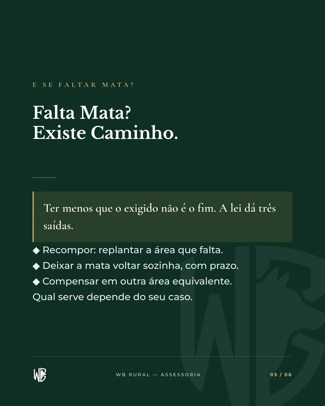 AQUI, A LEI MANDA DEIXAR 80% DE MATA — slide 5